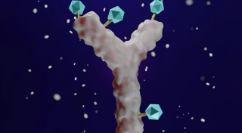 EPM Article: Cell Line Development Strategies for Bispecific Antibodies