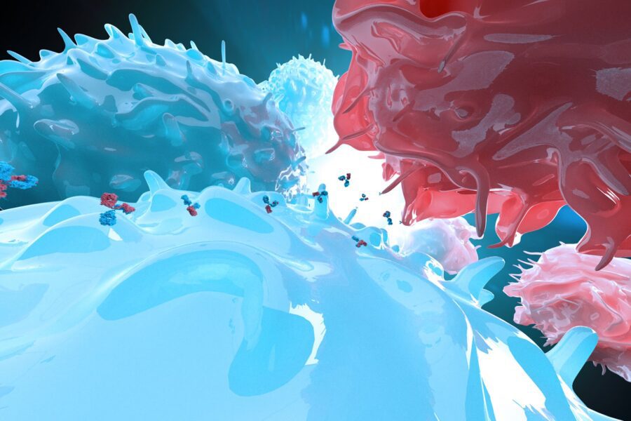 EPM: Cell line development strategies fit for a new era of Bispecific Antibodies