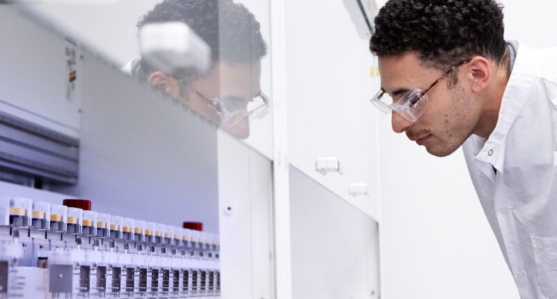 Cell Line Development Services - Abzena