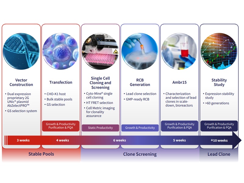 Cell Line Development Services | Abzena