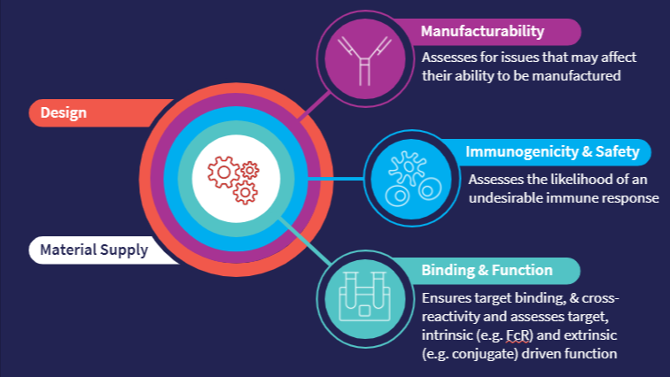 Derisking drug development through developability​ - Abzena