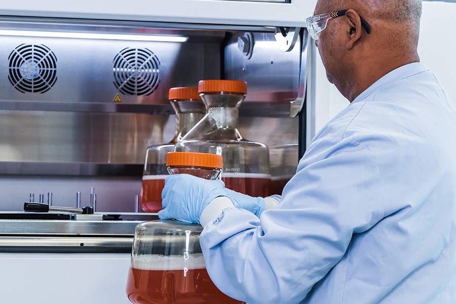 Mammalian Cell Line Development Services - Abzena