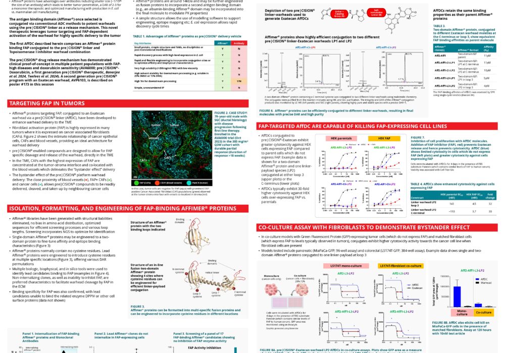 Affimer® Drug Conjugates (AffDC) targeting Fibroblast Activation Protein-α Poster - Abzena