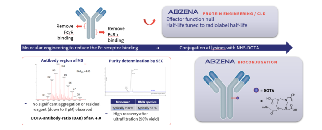 RDC Conjugation & Process Development Case Study Graphic
