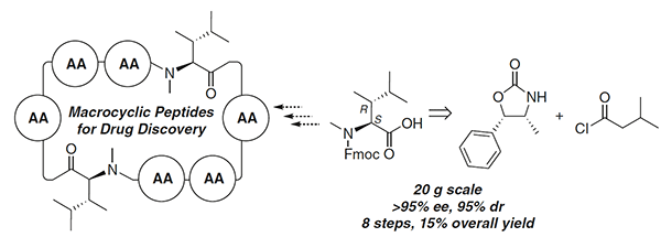 Thieme-connect: Enantioselective Synthesis of Fmoc-Protected (2S,3R)-3,4-Dimethyl-2-(methylamino)pentanoic Acid