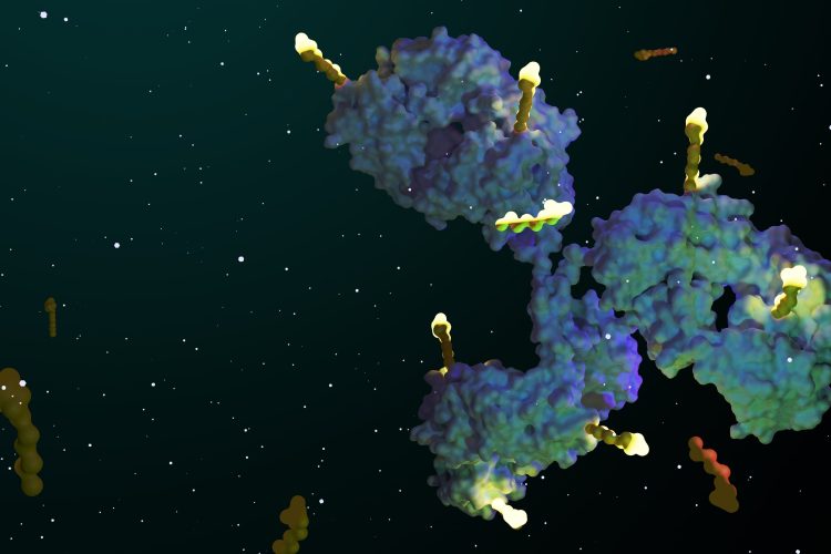 Drug Target Review: Challenges in developing robust potency assays for ADCs