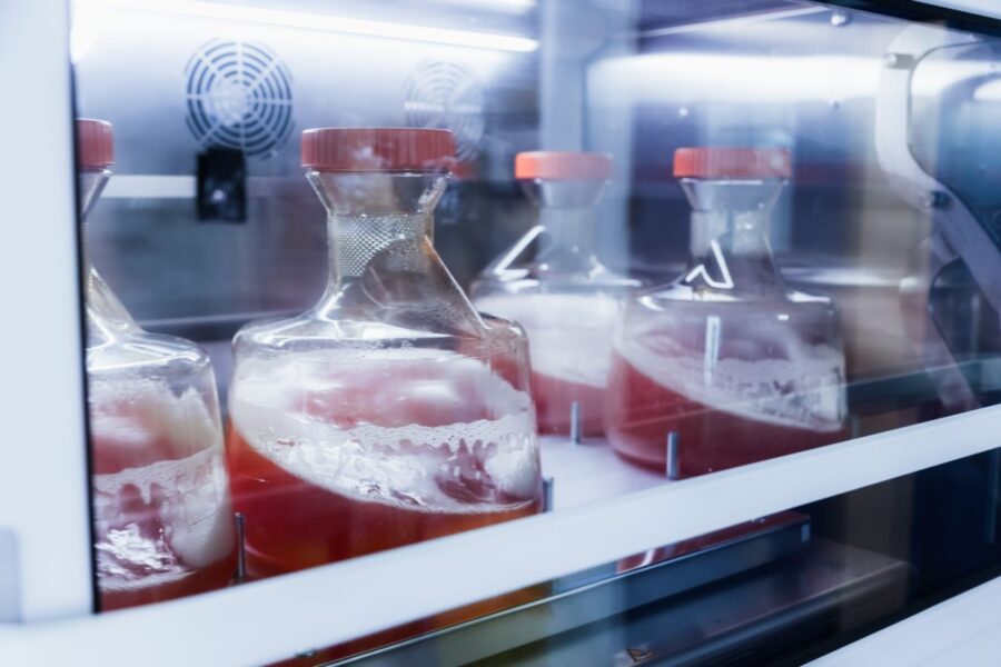 Mastering Regulatory Hurdles in Biologics: A Guide to Navigating Clinical Development Phase