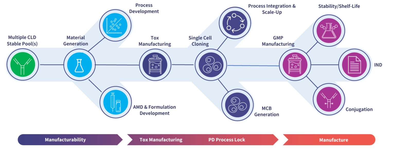 From Manufacturability in CLD to IND: De-Risked by Design - Abzena