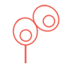 AbZelectPRO™-KO+: Increases antibody binding to CD16a receptor