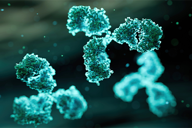 Outsourced Pharma: Why Life Cycle Integration Is Critical To ADC And XDC Success